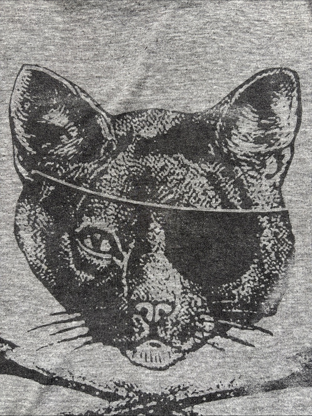 😸🏴☠️American Apparel Pirate Cat cross bones sweatshirt thinner material MED GUC - Picture 6 of 11